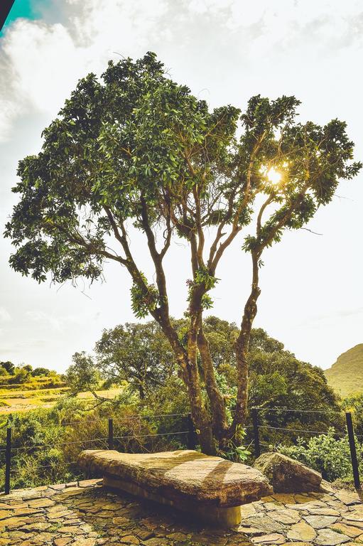 Mountain Villa Riverston Matale Εξωτερικό φωτογραφία